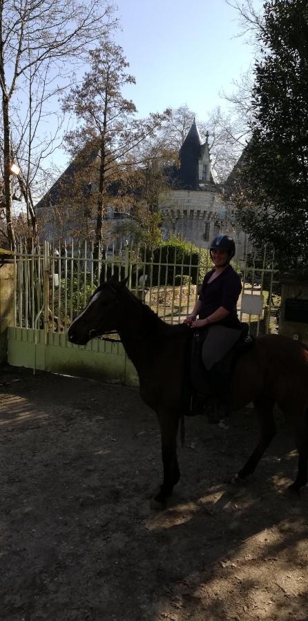 Chambre D'Hote En Vallee Du Loir - Elevage Des Rosiers Bazouges-sur-le-Loir Bagian luar foto