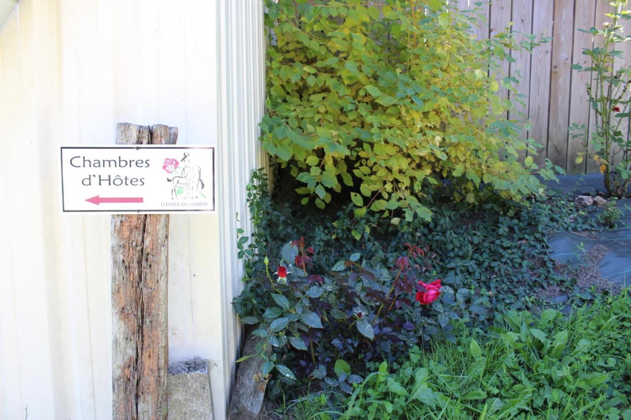 Chambre D'Hote En Vallee Du Loir - Elevage Des Rosiers Bazouges-sur-le-Loir Bagian luar foto