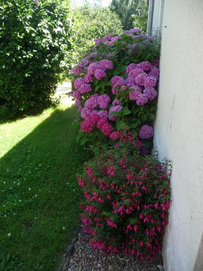 Chambre D'Hote En Vallee Du Loir - Elevage Des Rosiers Bazouges-sur-le-Loir Bagian luar foto
